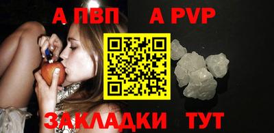 дмт Донской