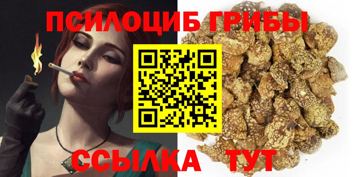 Галлюциногенные грибы Psilocybine cubensis  Псилоцибиновые грибы ЛСД  Казань  Вход с VPN 