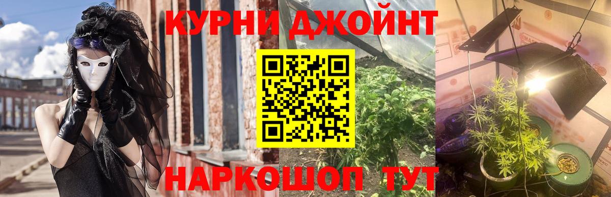 Каннабис конопля Казань